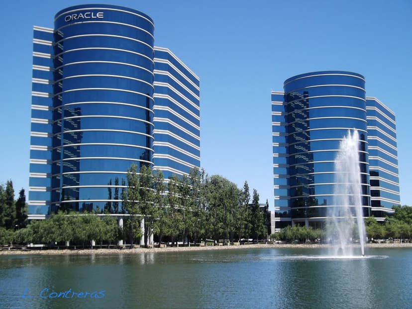 Oracle And 3 Other Stocks Have Very High Payout Ratio