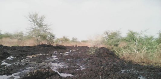 The pipe was repaired, but the contaminant was left in the environment. Photo by: Nile Institute of Environmental Health.