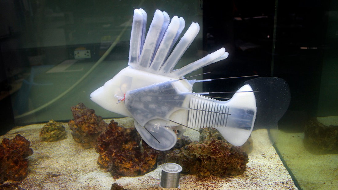 An aquatic soft robot, inspired by a lionfish and designed by James Pikul, former postdoctoral researcher in the lab of Rob Shepherd. Photo by: Cornell.edu.